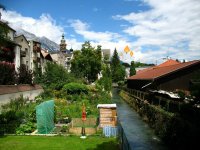 das zu meldende Bild