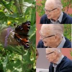 ein Bild aus dem Album